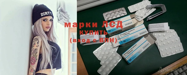 хмурый Инта
