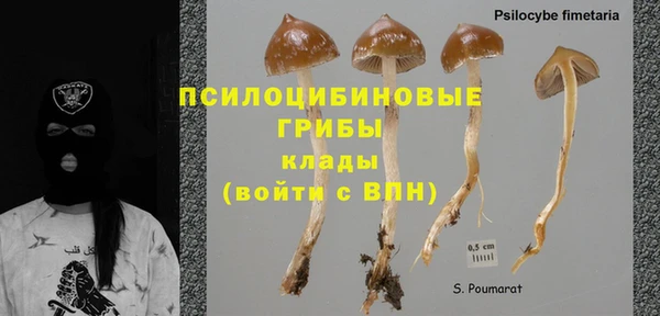 хмурый Инта