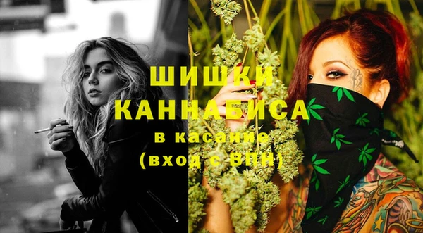 метадон Зеленодольск