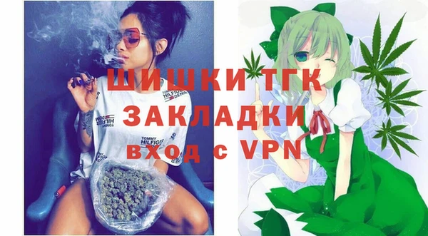хмурый Инта