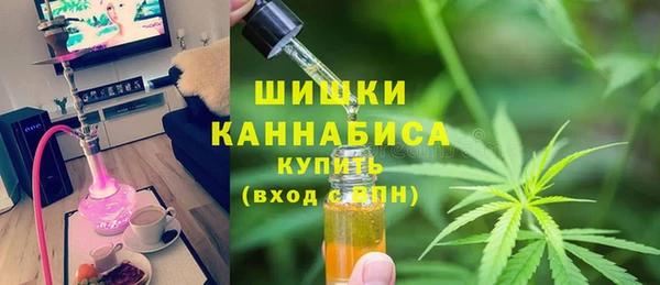 гашик Инсар