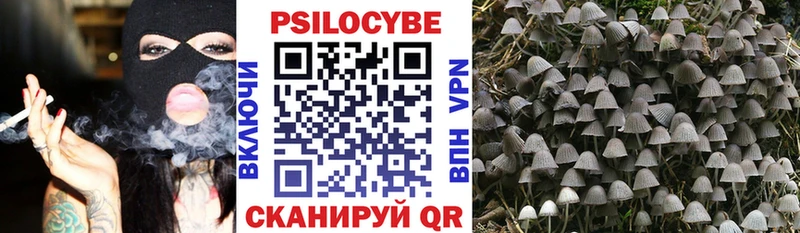 Псилоцибиновые грибы Cubensis  hydra ссылка  Кирсанов  закладка 